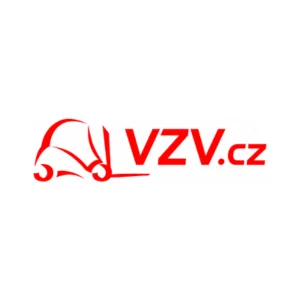 VZV