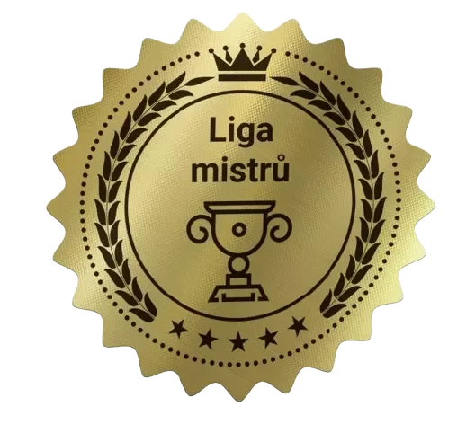 Liga mistrů