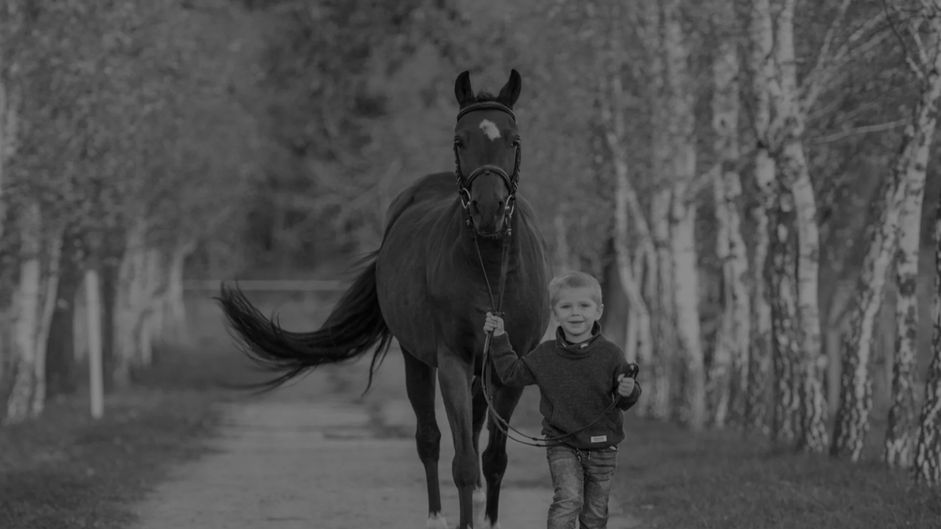 anotace-bg_106